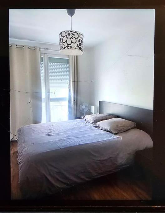 Chez Pascal Sissi -Grand Appart,Ile Nantes, Ccgres Ngoại thất bức ảnh